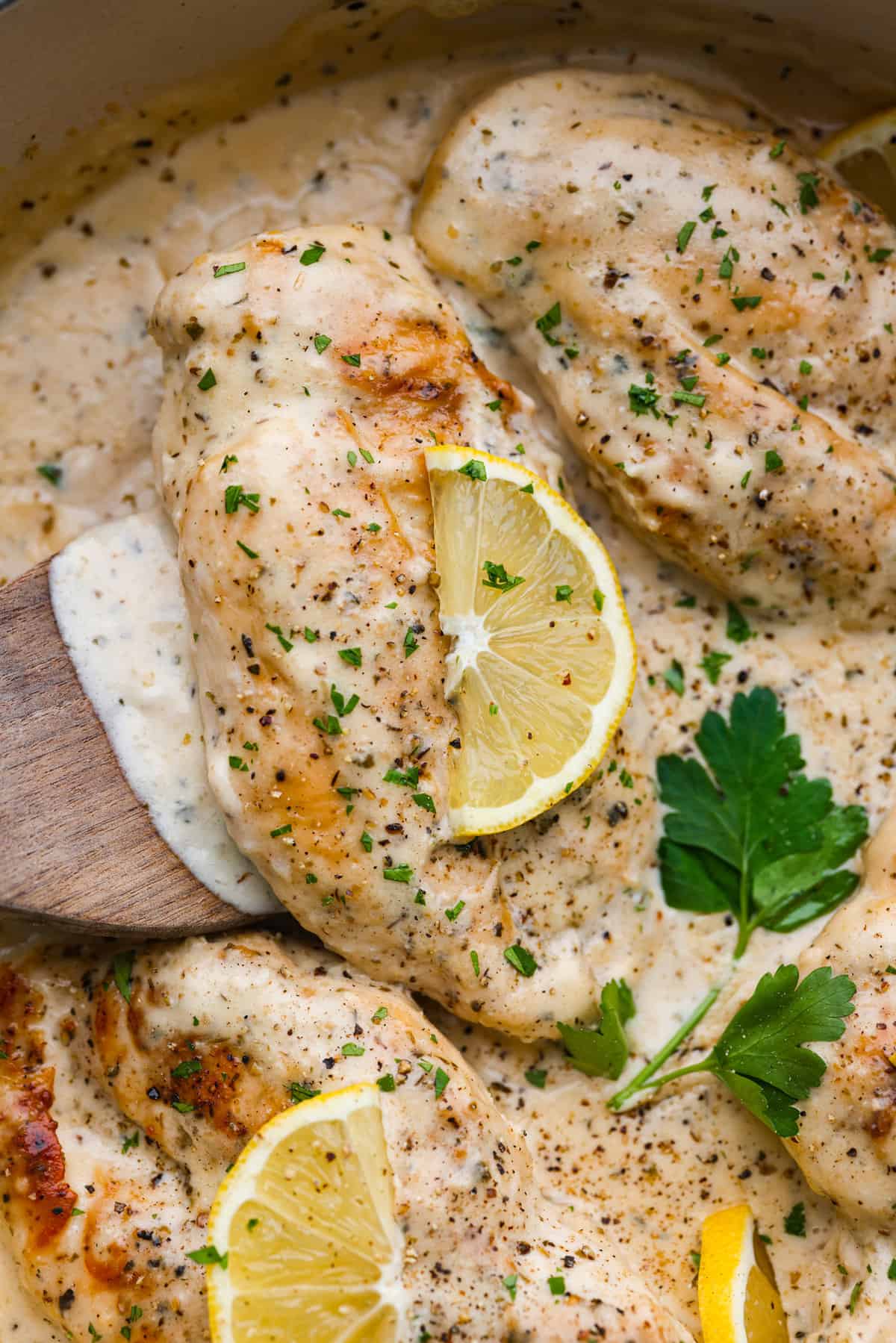 Creamy Lemon Parmesan Chicken Recipe