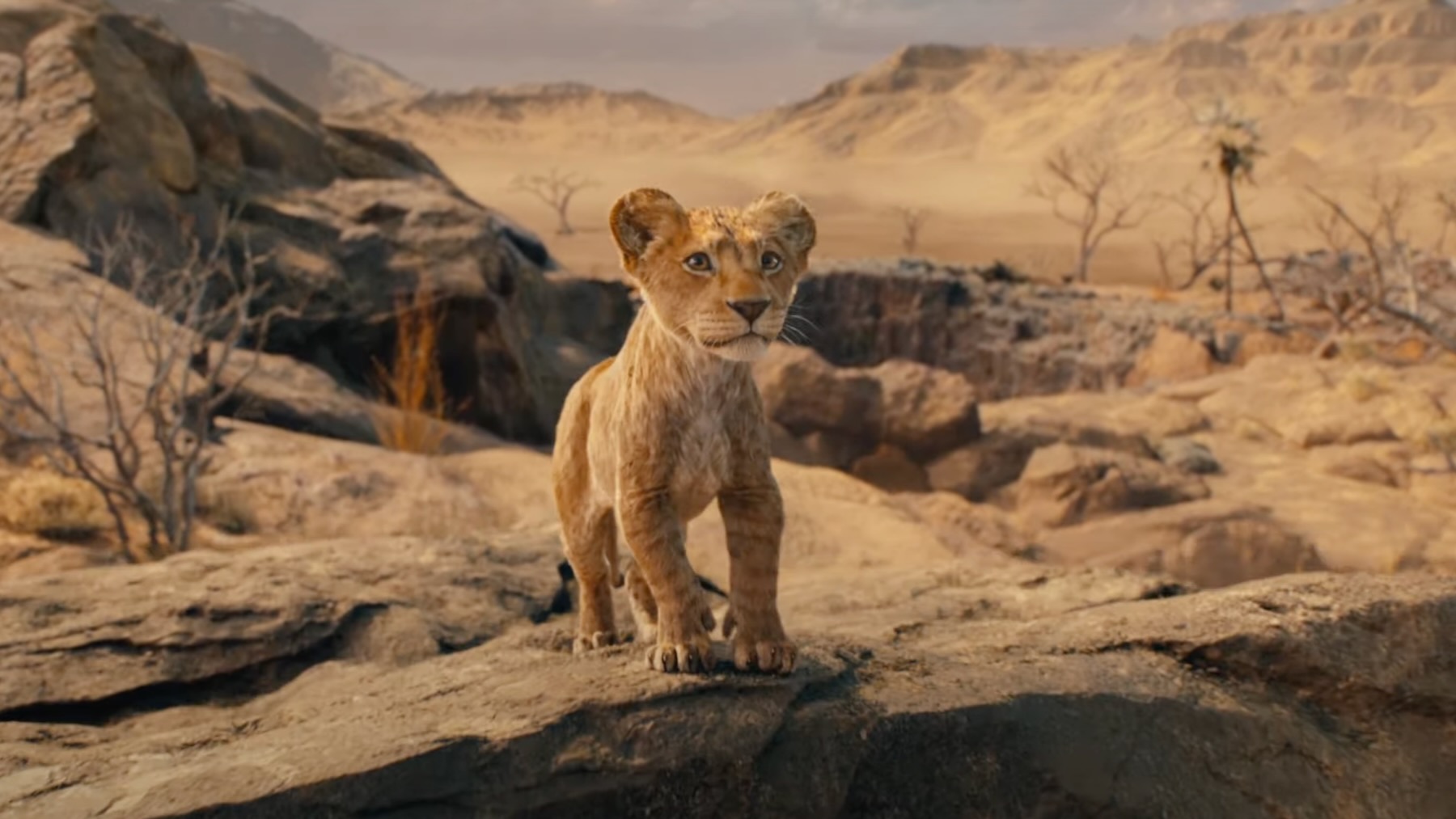 Disney Reveals Mufasa Trailer, Along with Voice Cast Featuring Beyoncé
