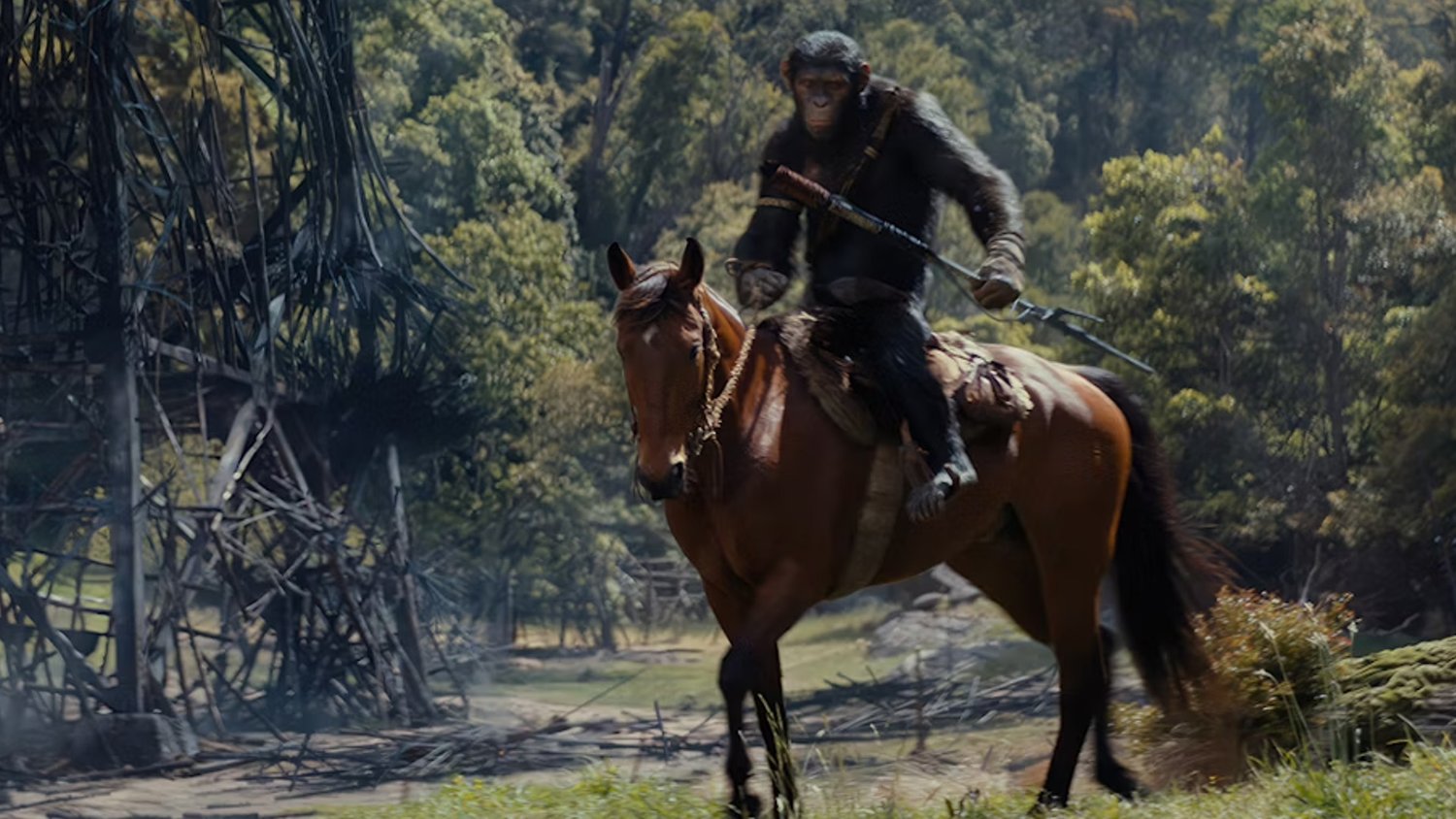 KINGDOM OF THE PLANET OF THE APES Being Compared to AVATAR and DUNE by Producers — GeekTyrant