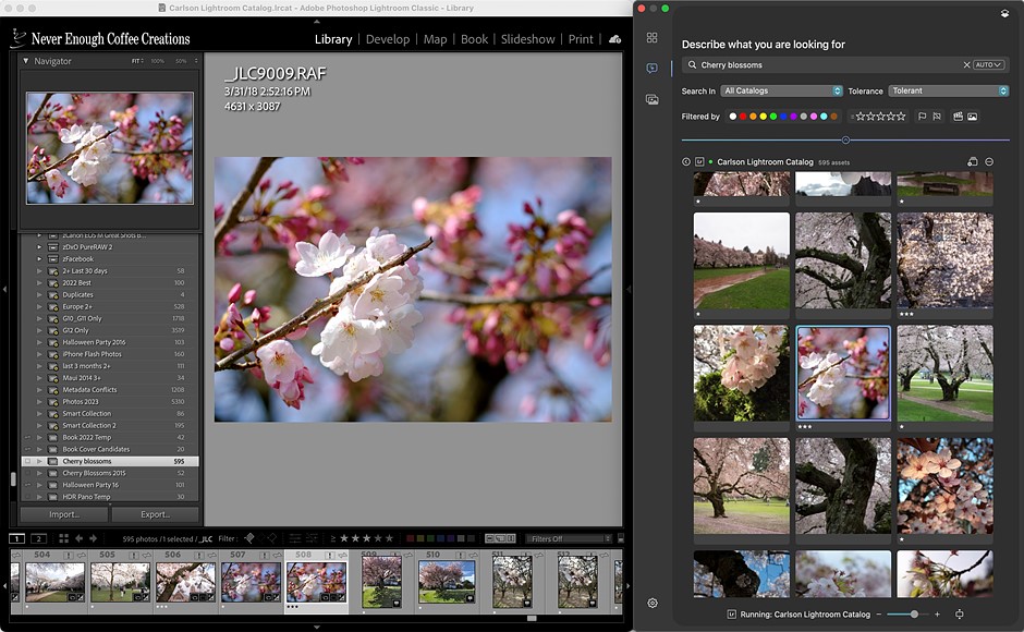 Peakto Search for Lightroom Classic: Using AI to search the contents of your photos: Digital Photography Review