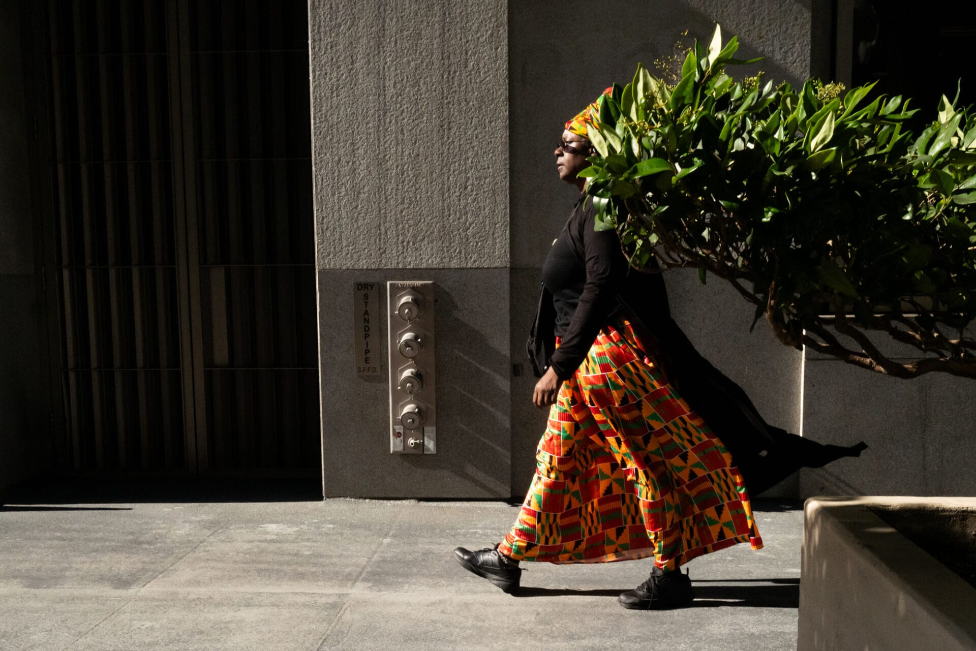 As a figure walks along the sidewalk, a tree lines up with the photographer