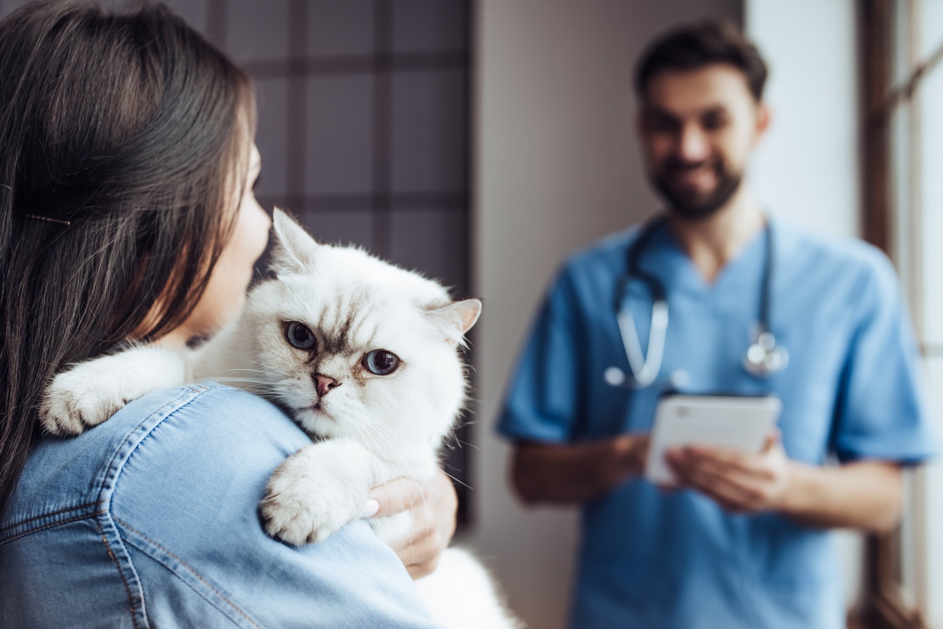 8 Ways to Save Money on Veterinary Care