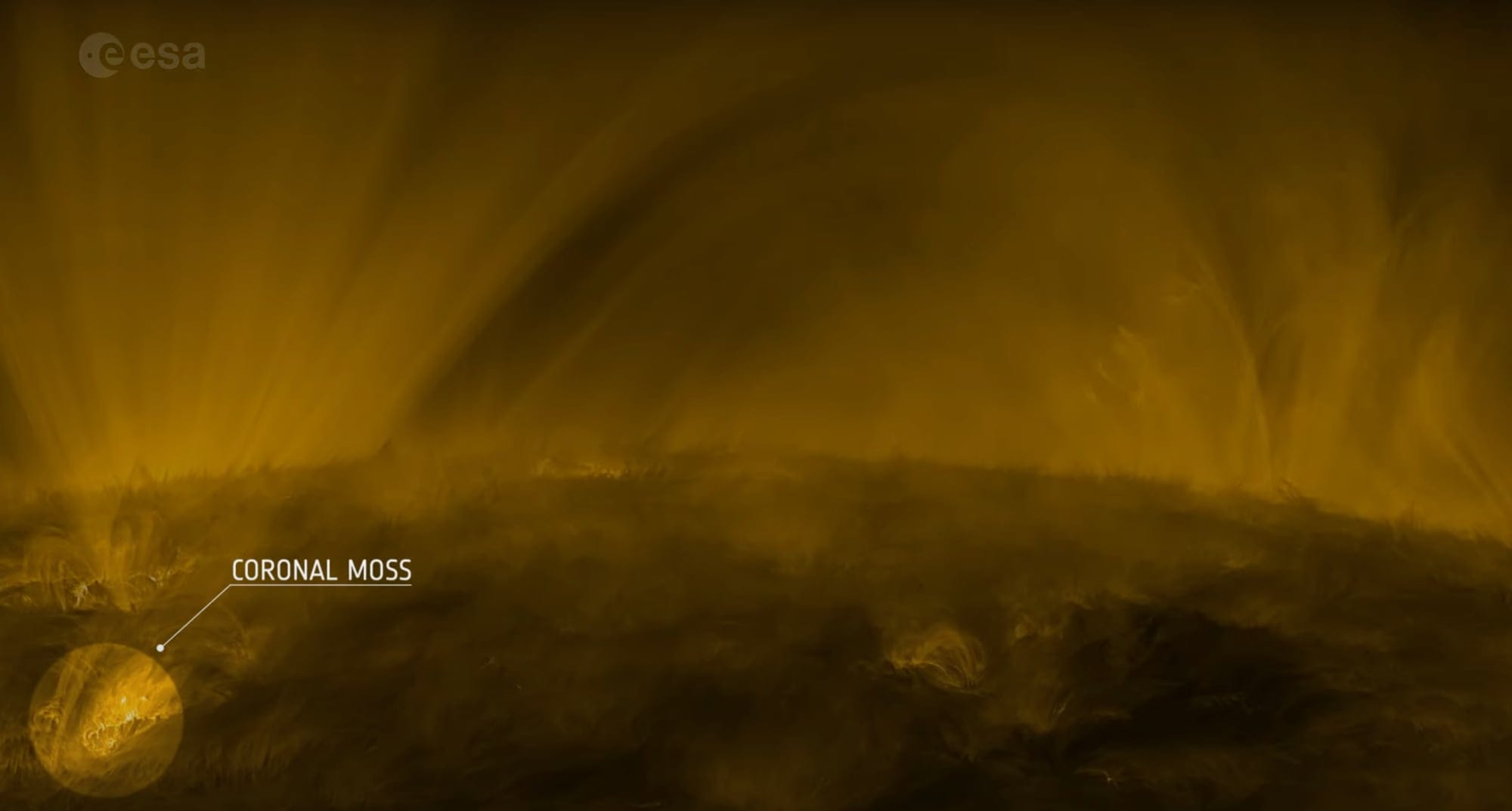 A New Video Captures Mossy Corona in the Sun’s Atmosphere in Extraordinary Detail — Colossal