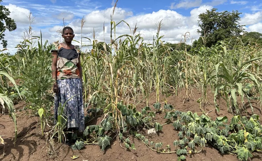 Africa: As El Niño Intensifies Floods and Droughts, Early Action Pays Off