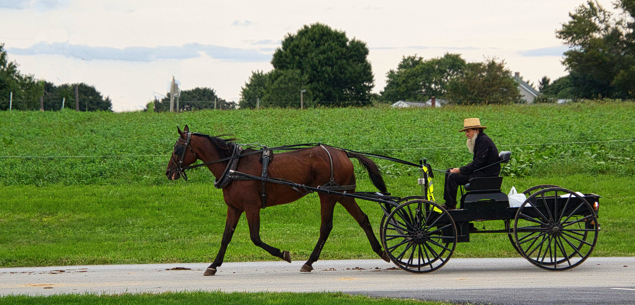 An Amish Farmer’s Court Case and a Curious Coalition of Rightwing Supporters — The Revealer