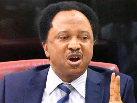 Another EndSARS Protest Needs To Happen Because Nothing Has Changed – Shehu Sani Calls For Renewed EndSARS Protests – TheNGblog