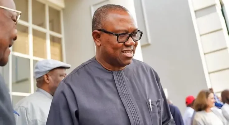 ‘Arewa Obidients’ Back Peter Obi For 2027, Decry Hardship In Nigeria – TheNGblog