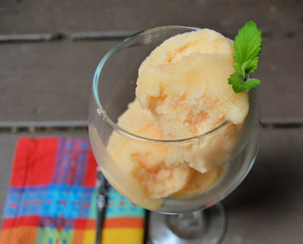 Cantaloupe Sorbet Recipe – Family Focus Blog