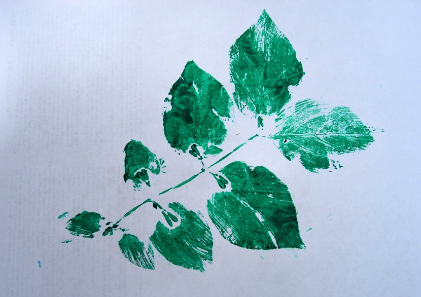 Discover The Art Of Leaf Printing