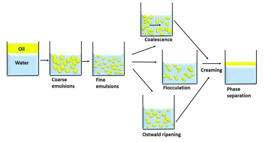 Everything you need to know about Nano-Emulsification Process