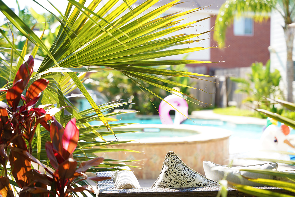 How to Transform Your Home’s Backyard into a Tropical Oasis » Residence Style