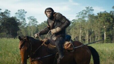 Kingdom of the Planet of the Apes movie review (2024)