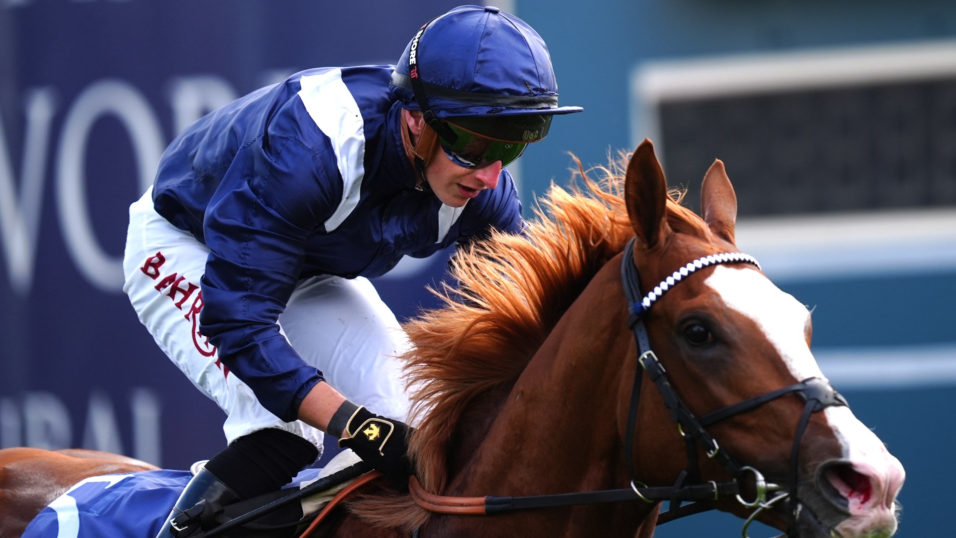 Second-favourite for the Derby ruled out of race in move that could cost owner £850,000