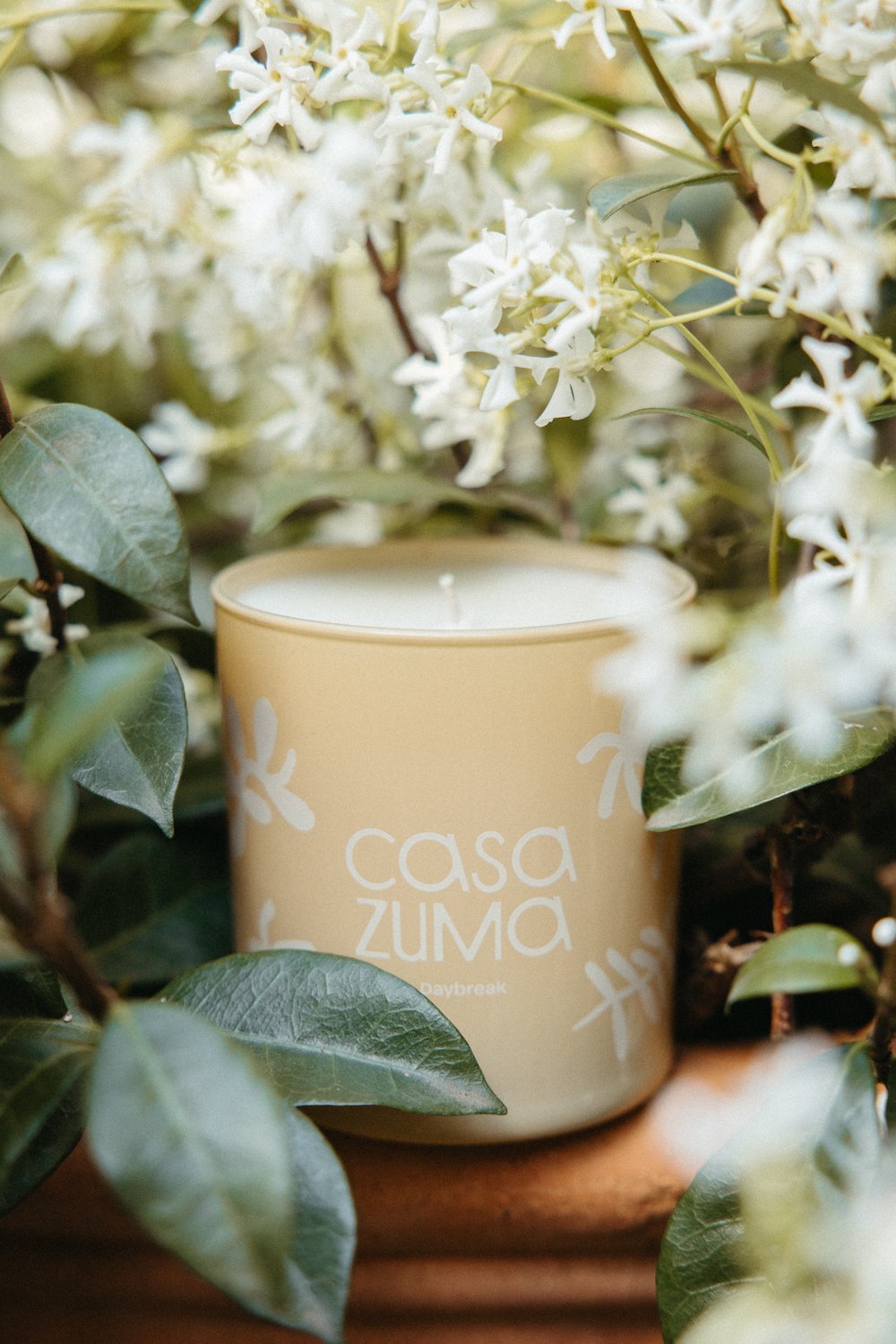 The Best New Candle of Summer 2024: Daybreak by Casa Zuma