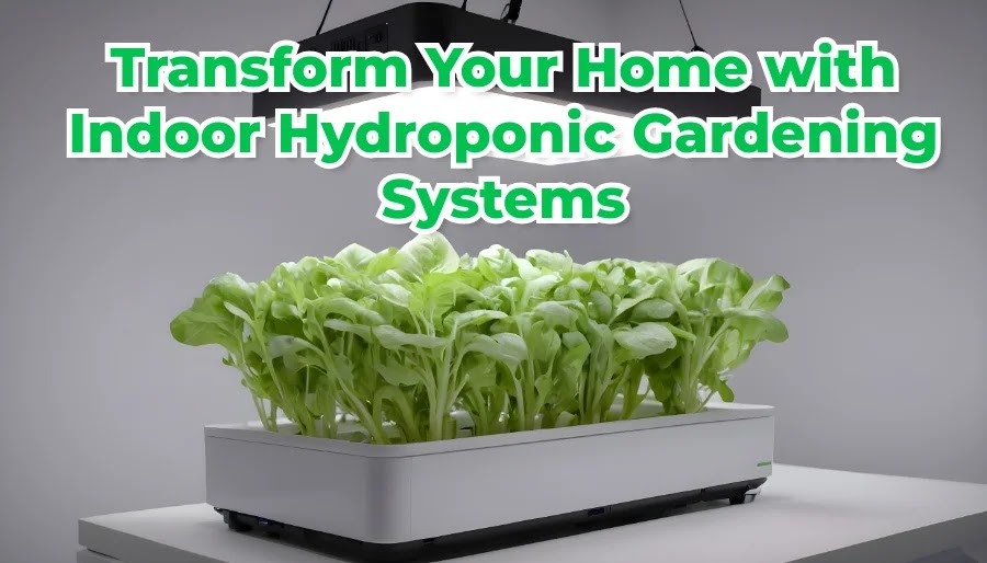 Transform Your Home with Indoor Hydroponic Gardening Systems