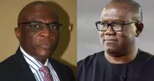 You Started Deporting Nigerians In 2011, Why Displaying Hypocrisy – Bayo Onanuga Blasts Peter Obi, Shares Evidence – TheNGblog