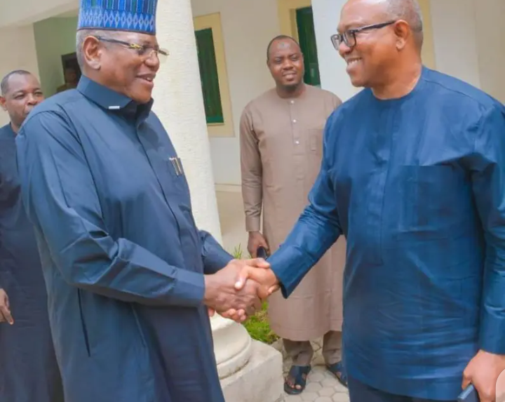 ‘Lamido Said He’d Go Into Exile If Peter Obi Got One Million Votes’ – Sam Amadi Says – TheNGblog