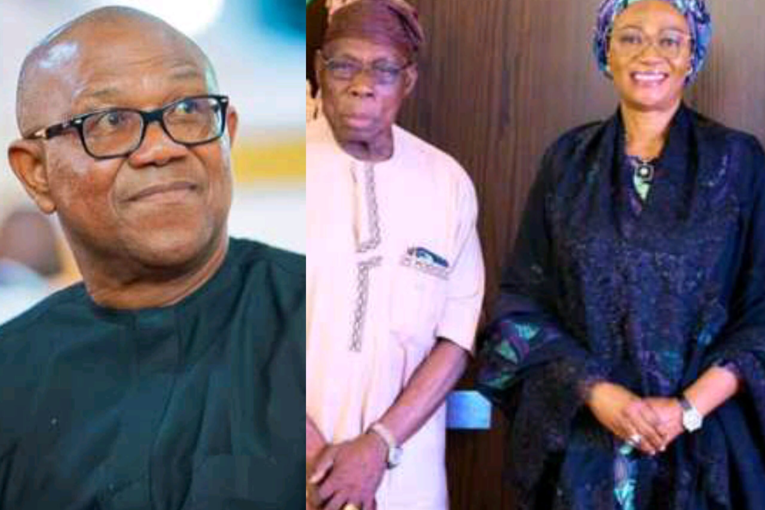 Atiku’s Ex-Aide Taunts Peter Obi Over Obasanjo, Remi Tinubu’s Meeting: “He’s Having Nightmare” – TheNGblog