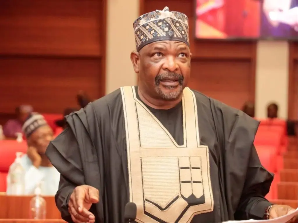 BREAKING: Senator Ningi Resumes Plenary After Suspension – TheNGblog