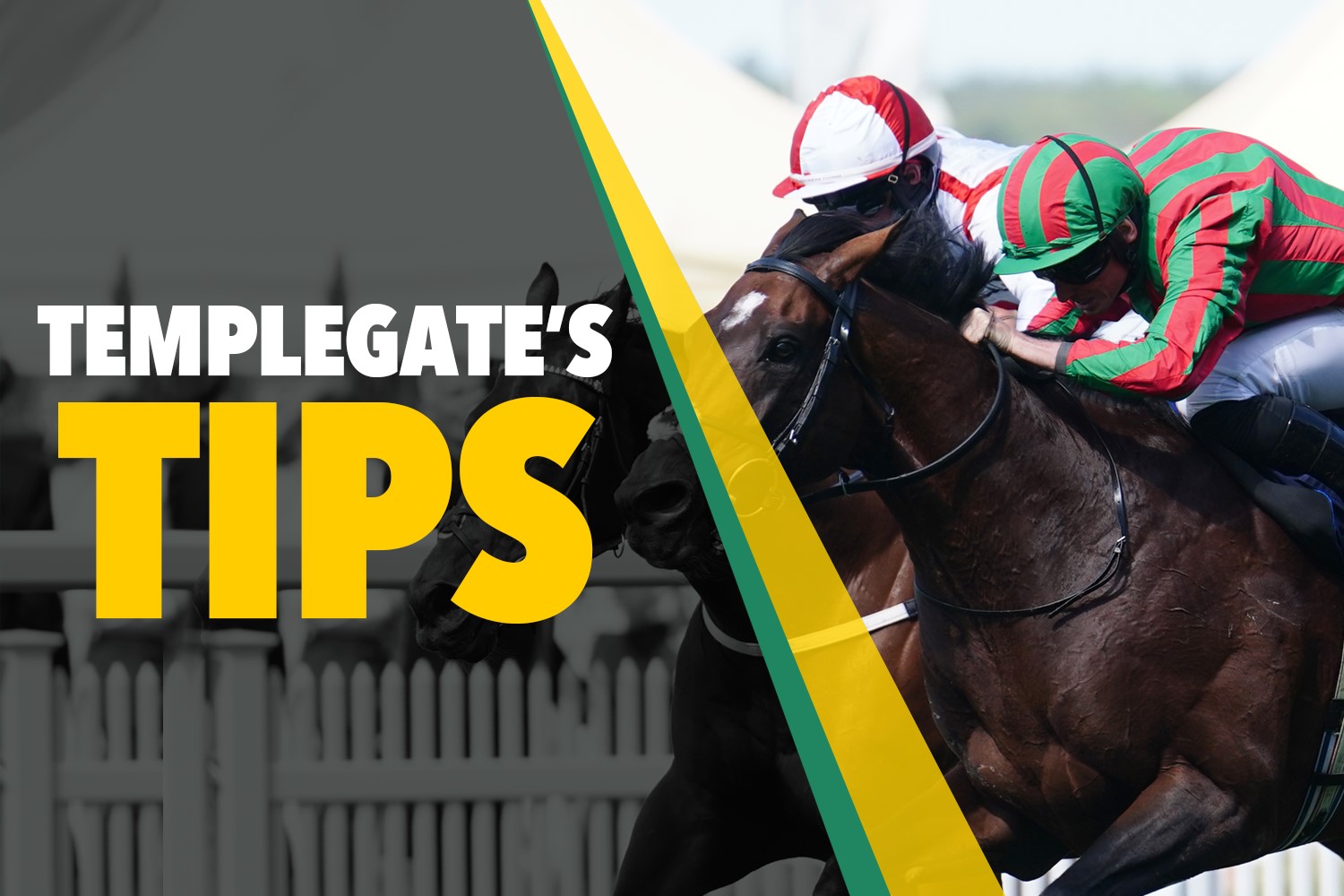 Horse racing tips: Templegate’s big 9-2 NAP can strike at Carlisle for in-form trainer