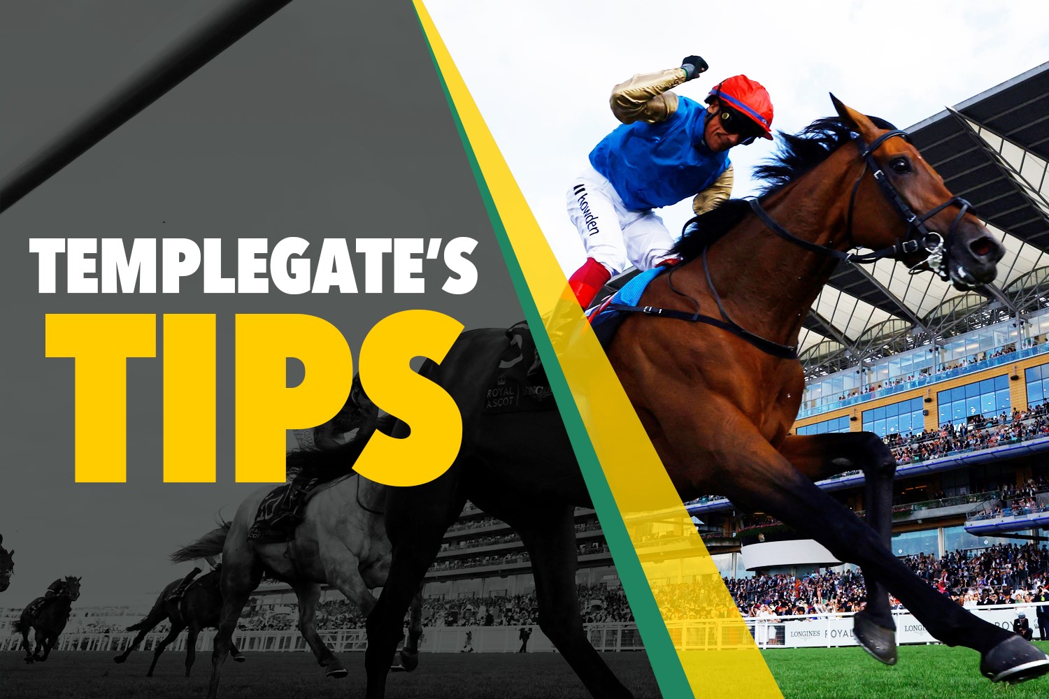 Horse racing tips: In-form Templegate’s NAP has been a revelation since going handicapping