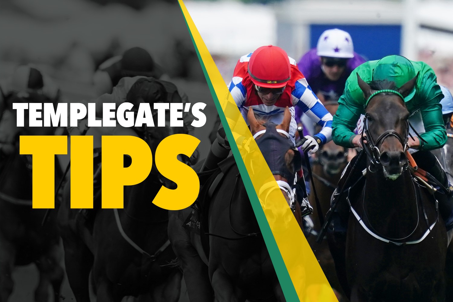 Horse racing tips: Templegate’s NAP has been a revelation since switched to hurdles for top trainer