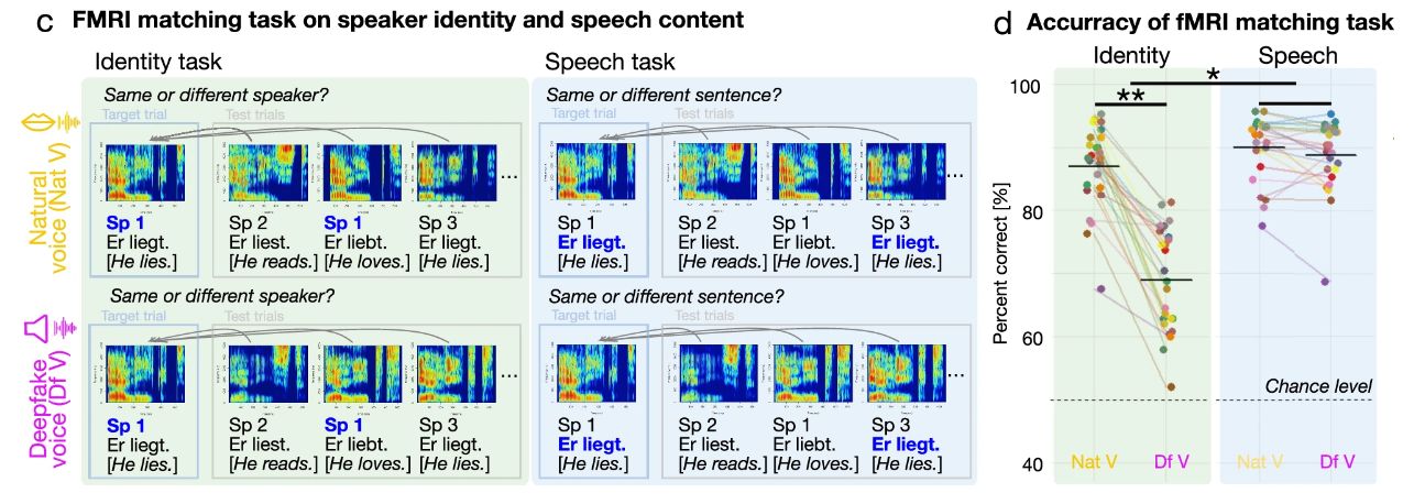 Human Brains Can Tell Deepfake Voices From Real Ones