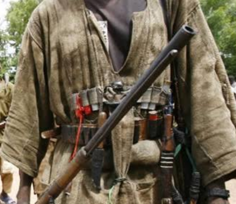 Hunter Flees After Shooting Colleague Dead In Ogun Forest – TheNGblog