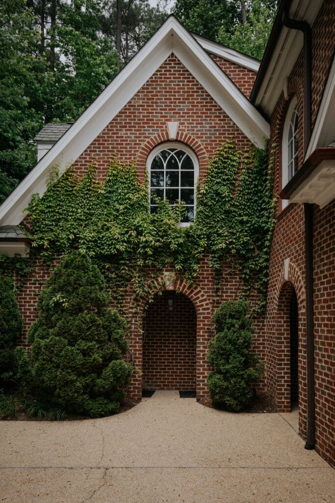 Ivy League: Our History with Climbing Vines