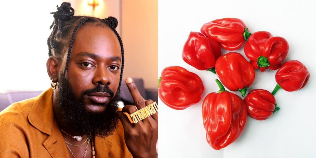 Man calls out Adekunle Gold after buying 8 pieces of pepper for N1K because of his song “Rodo”, he reacts