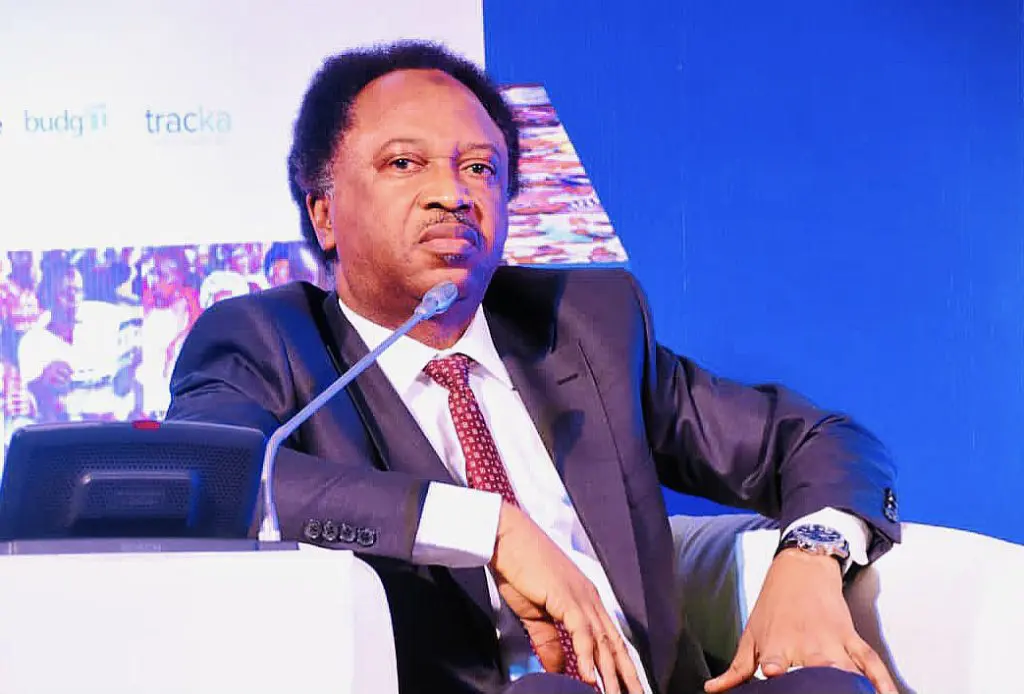 Minimum Wage: Half ‘Agbado’ Better Than None – Shehu Sani Mocks NLC Over Suspended Strike – TheNGblog