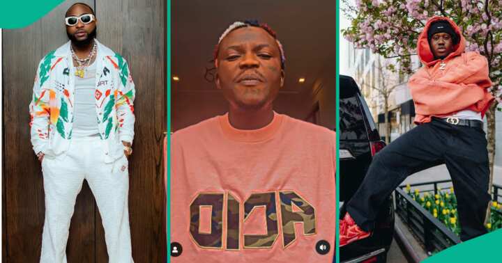 Portable Lambasts Zlatan For Trying To Poison Davido Against Him – TheNGblog