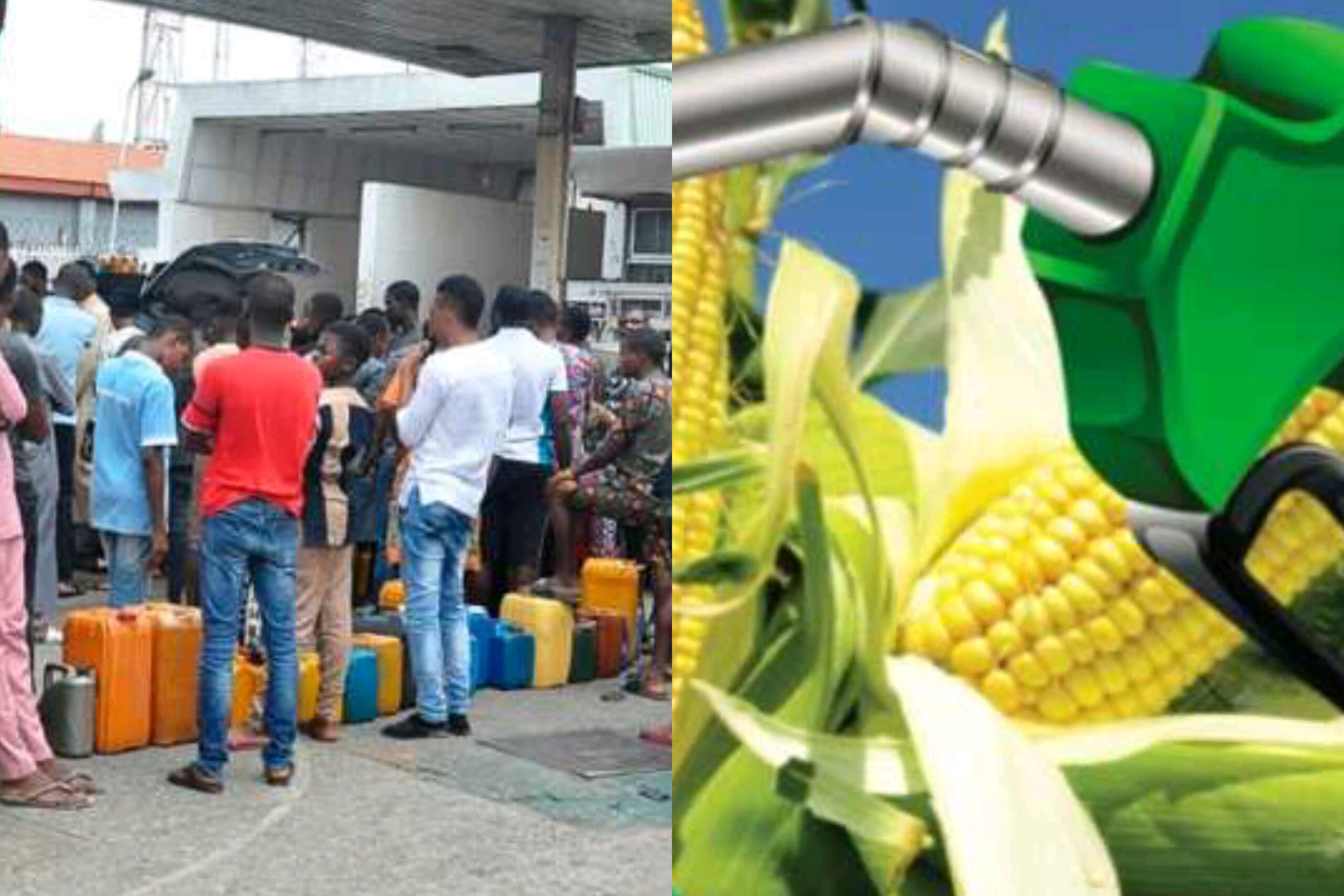 “Save N7bn Annually”: Oil Markets Suggest Conversion Of Fuel From Corn, Sugarcane To Replace Petrol – TheNGblog