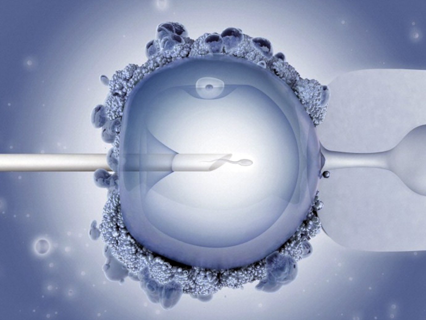 Southern Baptist ethics committee says IVF is immoral, tells Christians to oppose it