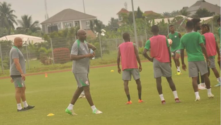 World Cup Qualifiers: Labour Strike Delays Arrival Of Super Eagles’ Players In Camp – TheNGblog