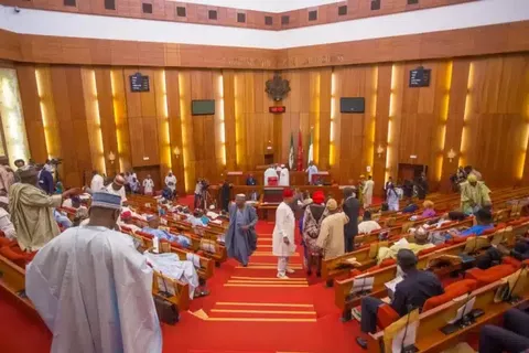 75 Senators Hold Emergency Sitting, Send Message To Nigerians Over Protest – TheNGblog