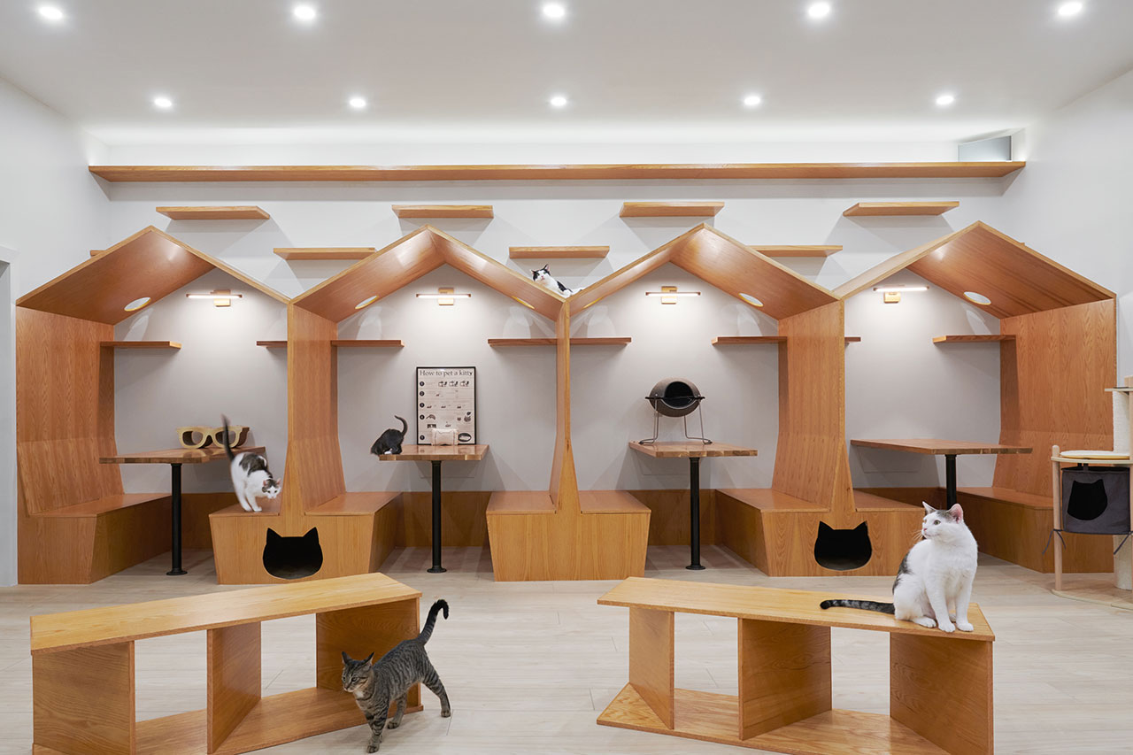 A Visit to the New Meow Parlour, NYC’s First Cat Cafe