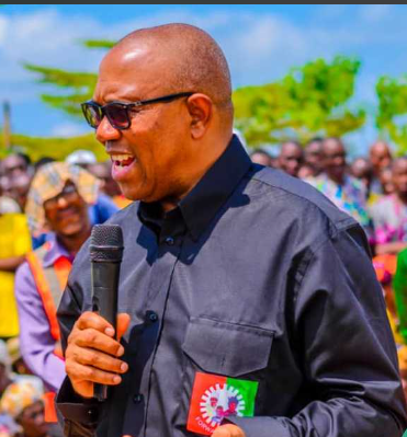 BREAKING: Peter Obi Endorses Nationwide Protests, Identifies Sponsors – TheNGblog