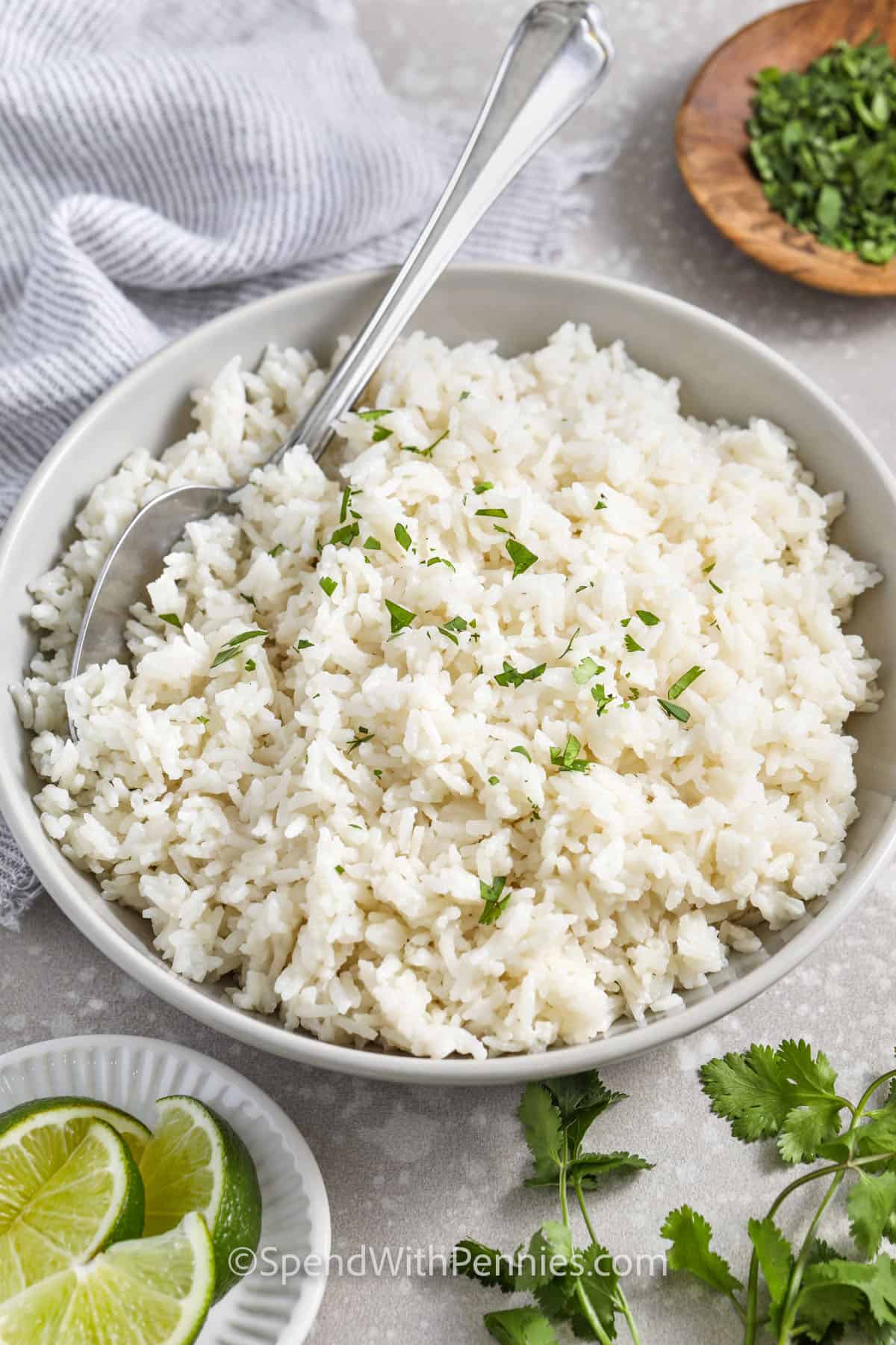 Coconut Rice – Spend With Pennies