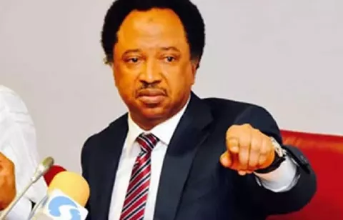 Don’t Participate In Protest Organised By Spirits, Sani Tells Nigerians – TheNGblog