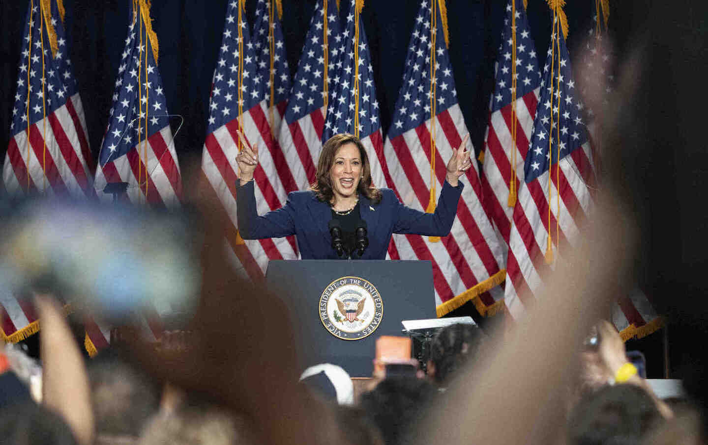 Vice President Kamala Harris campaigns for president as the presumptive Democratic candidate during an event, on July 23, 2024, in West Allis, Wisconsin.