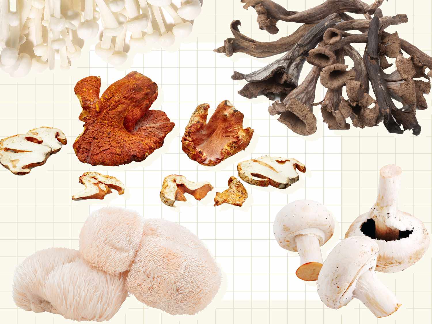 19 Magical Mushroom Varieties You Should Know How to Cook With