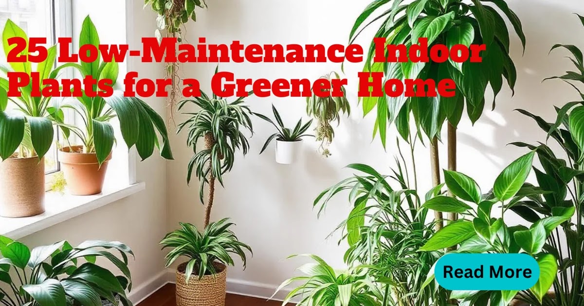 25 Low-Maintenance Indoor Plants for a Greener Home