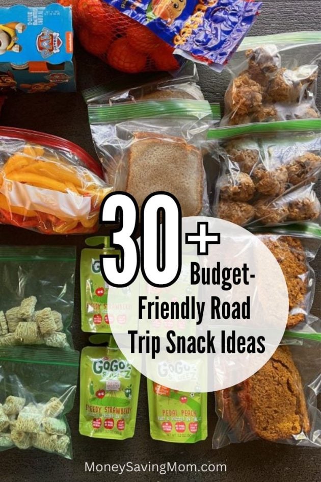 30+ Best Road Trip Snacks on a Budget