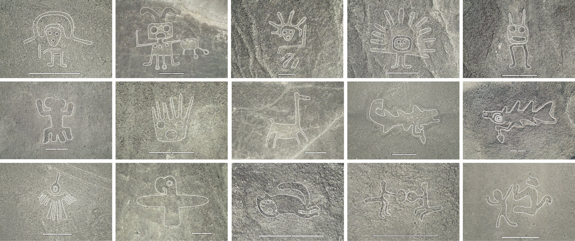 An A.I. Model Helped Uncover 303 Previously Unseen Nazca Lines in Peru — Colossal