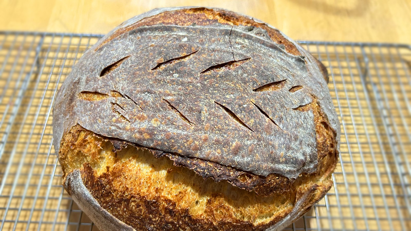 Bread Proofing Box For The Hungry Hacker