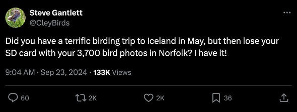 Did you lose your SD card full of Iceland bird pics in Norfolk, UK?