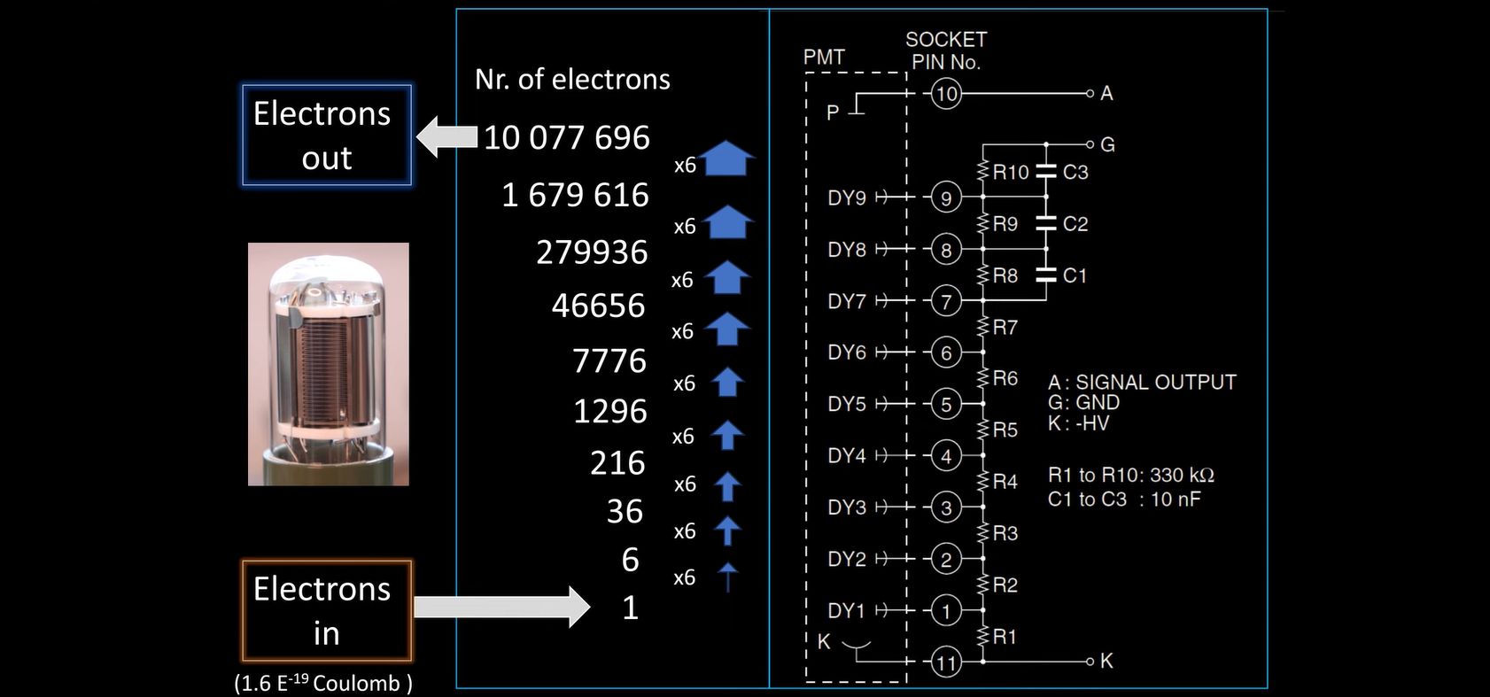 How Photomultipliers Detect Single Photons