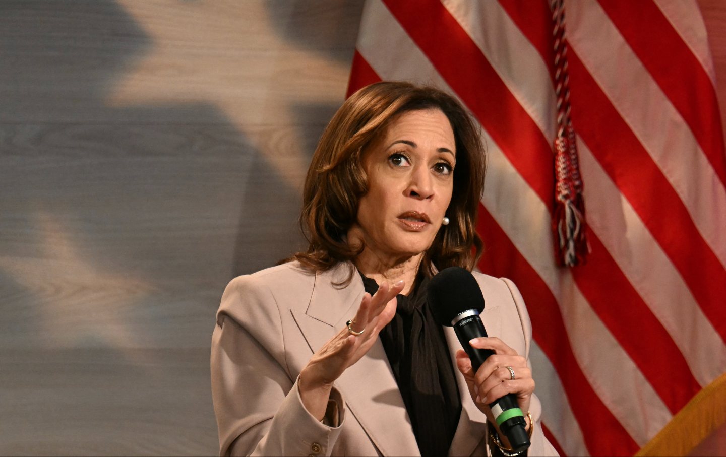 Kamala Harris speaks during a discussion hosted by the National Association of Black Journalists (NABJ), in Philadelphia, Pennsylvania, on September 17, 2024.