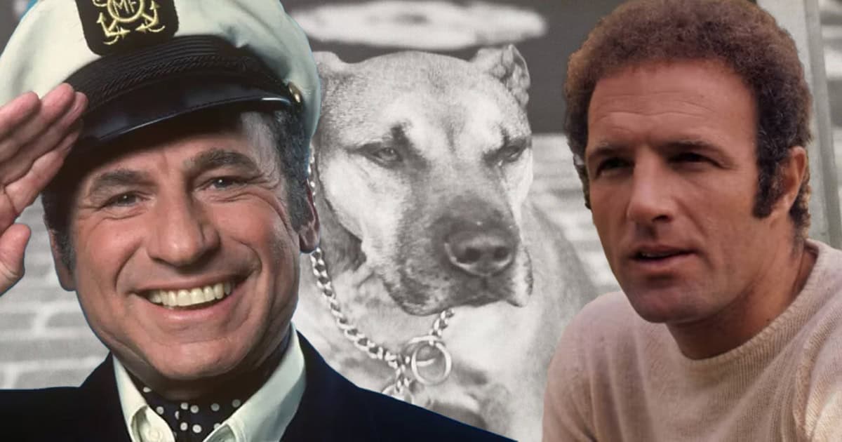 Mel Brooks got his beloved dog, Pongo, from legendary tough guy James Caan